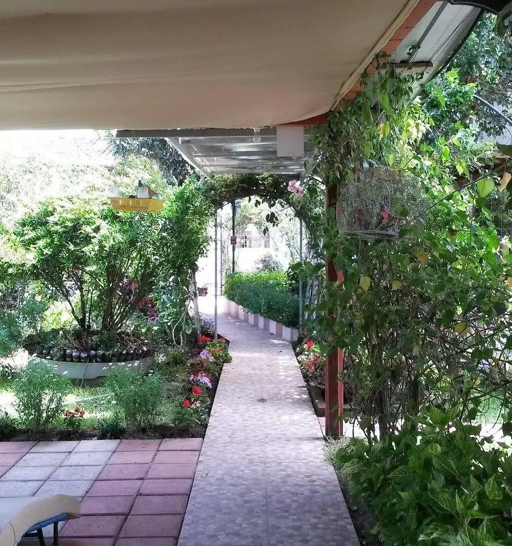 Хостел Hostal El Parque Табабела
